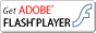 Get Adobe Flash 4